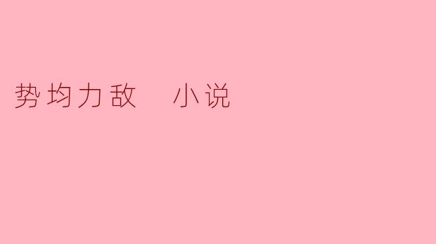势均力敌 小说